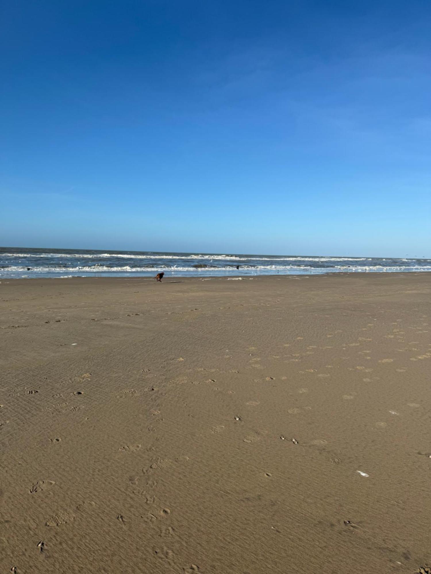 Guesthouse West Noordwijk Eksteriør billede