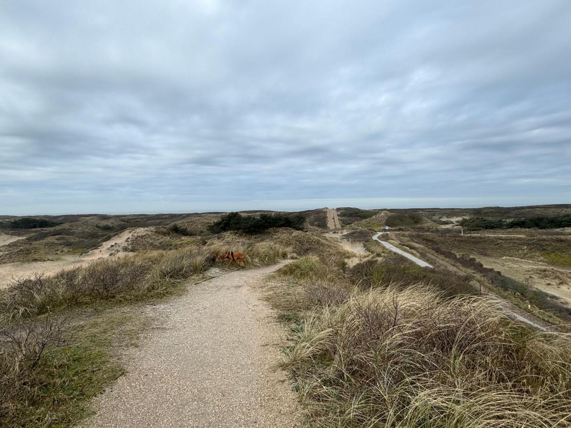 Guesthouse West Noordwijk Eksteriør billede