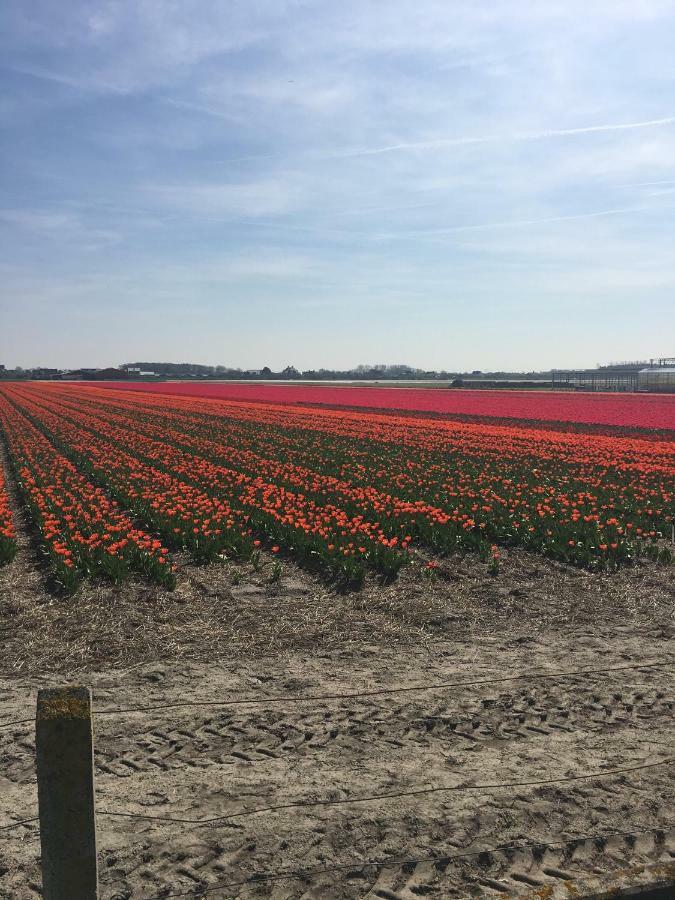Guesthouse West Noordwijk Eksteriør billede